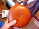 1800s Confederate or Napoleon-Related Gourd Canteen Turned Wood Spout Inscribed
