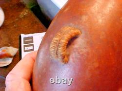 1800s Confederate or Napoleon-Related Gourd Canteen Turned Wood Spout Inscribed