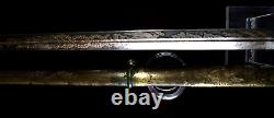 American Mexican War CIVIL War Officer Sword Palmetto Pommel Confederate Carried