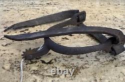 Antique Civil War Cavalry Spur with Leather Strap Historical Collection Piece