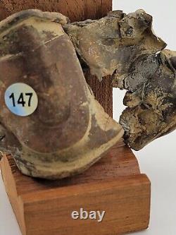 Antique Civil War Dug Relics Imcluding Belt Buckle W Bulet Hole, Bullet, Button