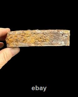 Awesome Dug Civil War Sardine Can Wilson Measles Confederate Va