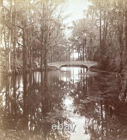 CIVIL War Magnolia Plantation Ashley River Sc White Bridge Stereoview Photo 1864