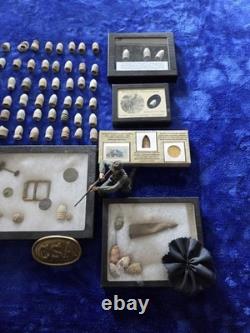 Civil War Artifacts & Colllectibles