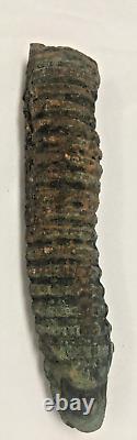 Civil War Shipwreck 1860 Army Saber Grip-Governor Shipwreck SC Coast-Artifact