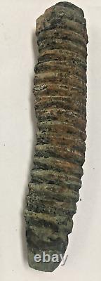 Civil War Shipwreck 1860 Army Saber Grip-Governor Shipwreck SC Coast-Artifact