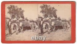 Civil War Stereoview Black Man and Children Ox and Wagon South Carolina