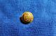 Civil War Wisconsin State Button Scovill Waterbury Shank Back Metal Dome Style