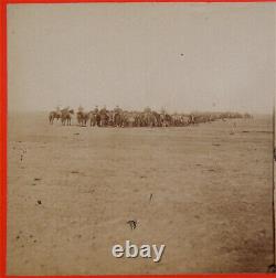 Civil War period Stereoview Photograph by Mathew Brady