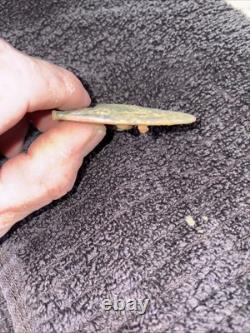 Dug civil war relics