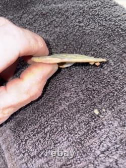 Dug civil war relics