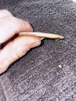 Dug civil war relics