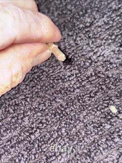 Dug civil war relics