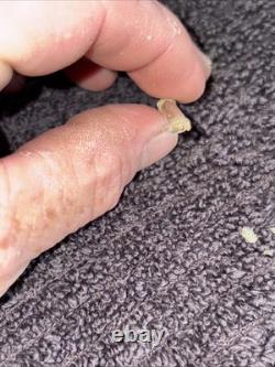 Dug civil war relics