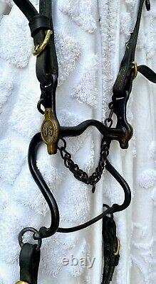 McClellan US Cavalry Saddle 12 inch Seat, Civil War Bridle, Bit, Breast Plate