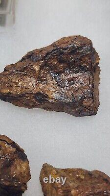 ORIGINIAL ARTIFACTS FROM CUSTERS 1864 Battle Virginia Brock Road Geo. Row Farm