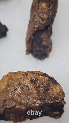 ORIGINIAL ARTIFACTS FROM CUSTERS 1864 Battle Virginia Brock Road Geo. Row Farm