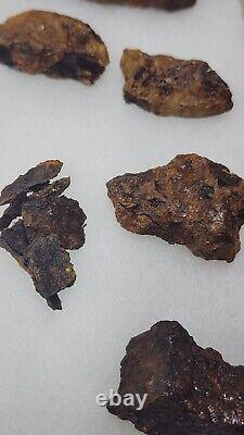 ORIGINIAL ARTIFACTS FROM CUSTERS 1864 Battle Virginia Brock Road Geo. Row Farm