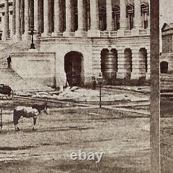 Original Washington D. C. Capitol Building East Front View Stereoview Photo 1866