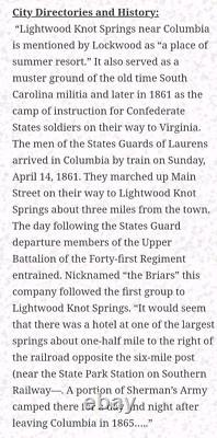 RARE Confederate Civil War Breastplate, South Carolina Palmetto Tree State Seal