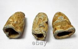 RARE MID-19TH C ANT EXCAVATED 3 UNION ARMY CIVIL WAR LEAD BULLETS WithTEETH MARKS