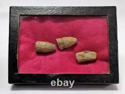 RARE MID-19TH C ANT EXCAVATED 3 UNION ARMY CIVIL WAR LEAD BULLETS WithTEETH MARKS