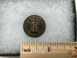 Rare Civil War Era Button South Carolina Animis Opibusque Parati