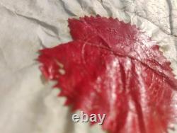 Signed Civil War Officer Certificate, c. 1862