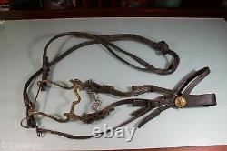 US Civil War Era M1859 Cavalry Bit Original Reins Texas Star Rosettes on Bridle