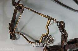 US Civil War Era M1859 Cavalry Bit Original Reins Texas Star Rosettes on Bridle