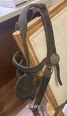 U. S. Cavalry Civil War Horse Mule Blinders Bridle US Emblems