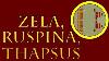 Zela Ruspina Thapsus 47 To 46 B C E